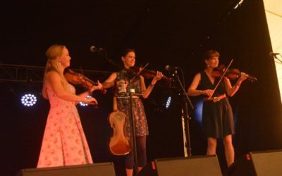 Danish Music Awards Roots 2020