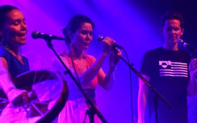 Live: Spot on Greenland: Spot Festival, Atlas, Aarhus
