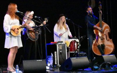 Godt nyt: Godtfolk er klar igen