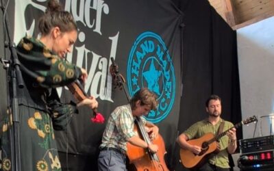 TF25: Hawktail: Visemøllen