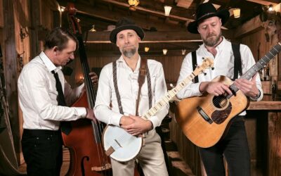 CD: Henrik Johannessen & The Roots: Stories From The Log House